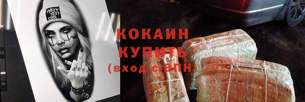 spice Богородицк