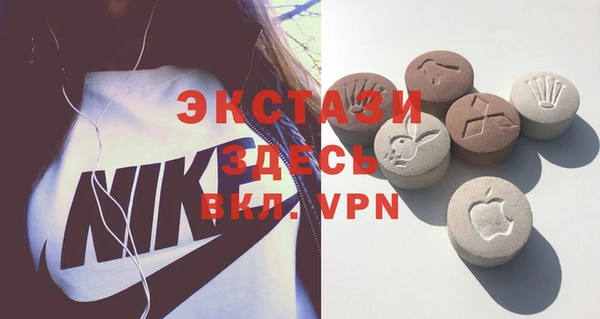 spice Богородицк