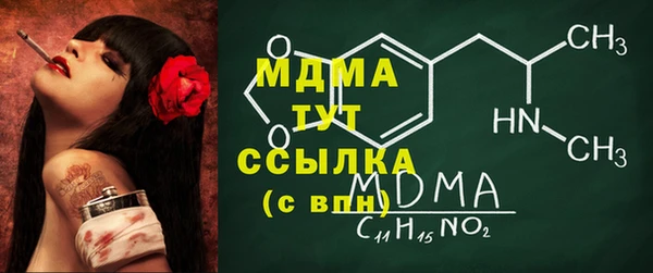 spice Богородицк