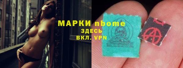 сатива Белокуриха