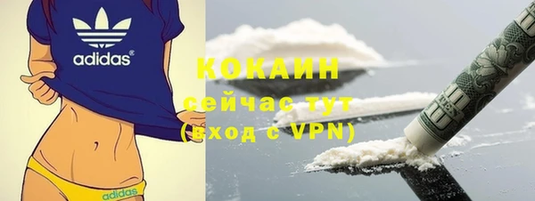 сатива Белокуриха
