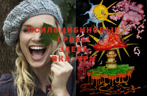 сатива Белокуриха