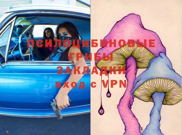 стаф Беломорск