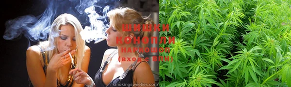 spice Богородицк