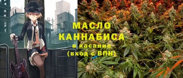 spice Богородицк
