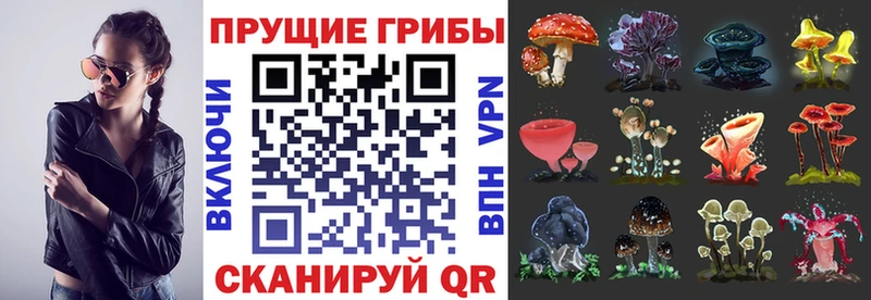 Галлюциногенные грибы Magic Shrooms  Неман 