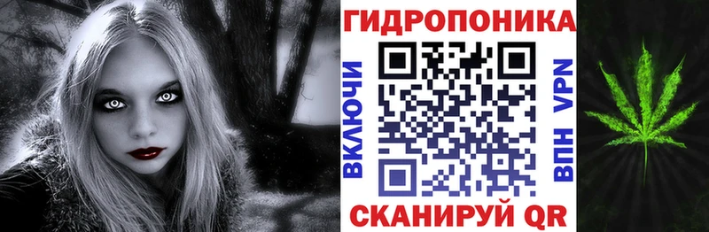 где купить   Неман  Бошки Шишки MAZAR 